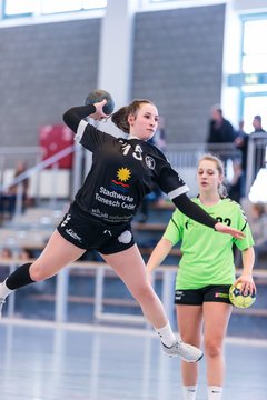 Bild 18 - Frauen OL TuS Esingen - SG Niendorf/Wandsetal : Ergebnis: 24:17